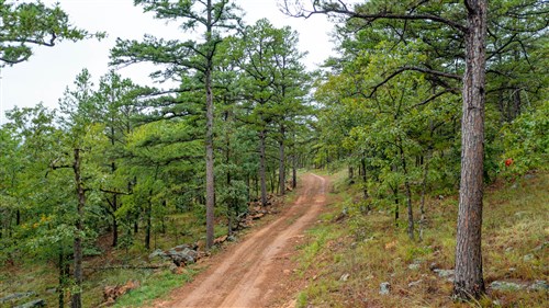 Stone Bridge Phase V Tract 427