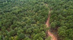 Stone Bridge Phase V Tract 427