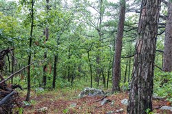 Stone Bridge Phase V Tract 427