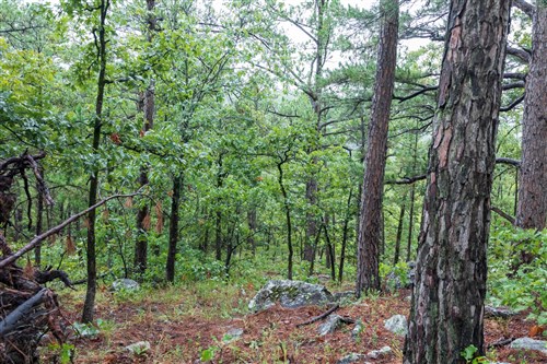 Stone Bridge Phase V Tract 427