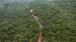 Stone Bridge Phase V Tract 427