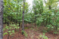 Stone Bridge Phase V Tract 427