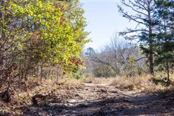 Stone Bridge Reserve Tract 10