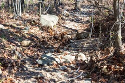 Stone Bridge Reserve Tract 10