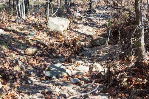 Stone Bridge Reserve Tract 10