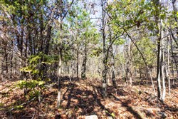 Stone Bridge Reserve Tract 10