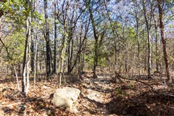 Stone Bridge Reserve Tract 10