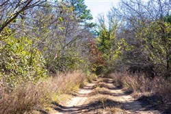 Stone Bridge Reserve Tract 11