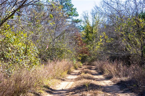 Stone Bridge Reserve Tract 11