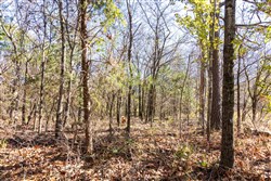 Stone Bridge Reserve Tract 11