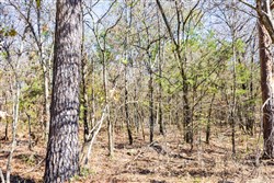 Stone Bridge Reserve Tract 11