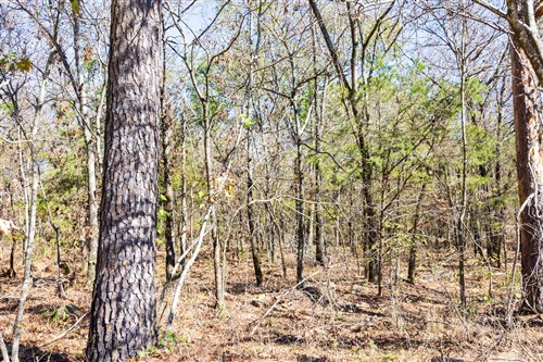 Stone Bridge Reserve Tract 11