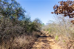 Stone Bridge Reserve Tract 12