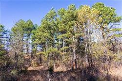 Stone Bridge Reserve Tract 12