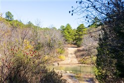 Stone Bridge Reserve Tract 12
