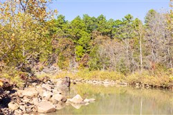 Stone Bridge Reserve Tract 12