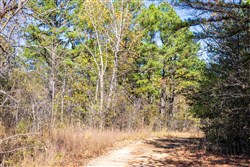 Stone Bridge Reserve Tract 12