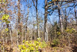 Stone Bridge Reserve Tract 12