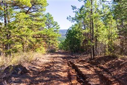 Stone Bridge Reserve Tract 15