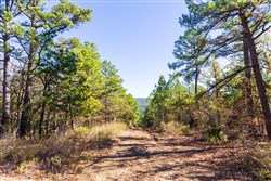 Stone Bridge Reserve Tract 15