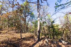 Stone Bridge Reserve Tract 15