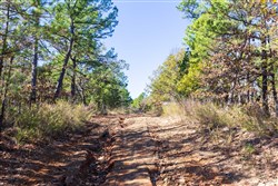 Stone Bridge Reserve Tract 15