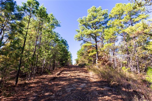 Stone Bridge Reserve Tract 16