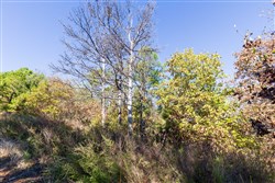 Stone Bridge Reserve Tract 16