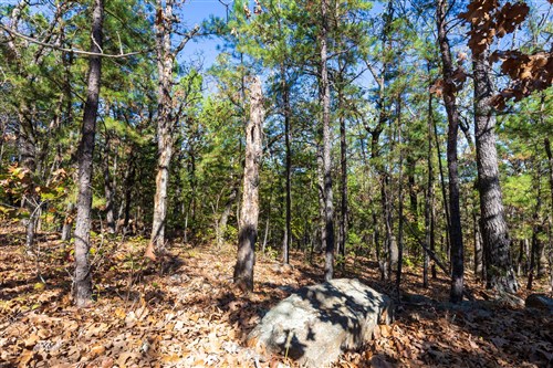 Stone Bridge Reserve Tract 16