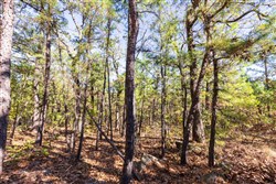 Stone Bridge Reserve Tract 16