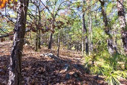 Stone Bridge Reserve Tract 16