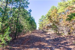 Stone Bridge Reserve Tract 16