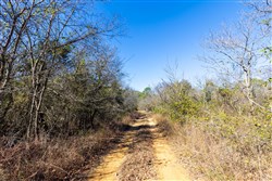 Stone Bridge Reserve Tract 18