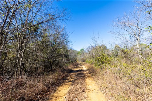Stone Bridge Reserve Tract 18