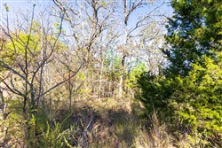 Stone Bridge Reserve Tract 18