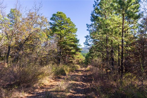 Stone Bridge Reserve Tract 18