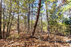 Stone Bridge Reserve Tract 18