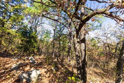 Stone Bridge Reserve Tract 18