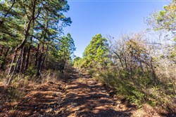 Stone Bridge Reserve Tract 18