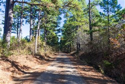 Stone Bridge Reserve Tract 2