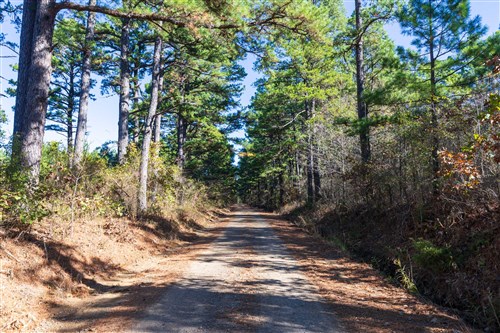 Stone Bridge Reserve Tract 2