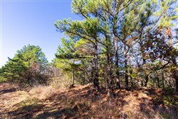 Stone Bridge Reserve Tract 2