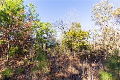 Stone Bridge Reserve Tract 2
