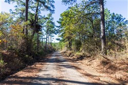 Stone Bridge Reserve Tract 2