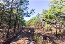 Stone Bridge Reserve Tract 2