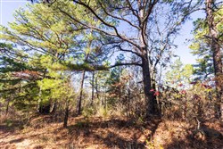 Stone Bridge Reserve Tract 2