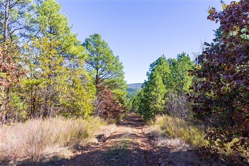 Stone Bridge Reserve Tract 23
