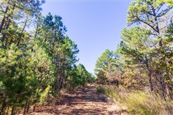Stone Bridge Reserve Tract 23