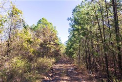 Stone Bridge Reserve Tract 25