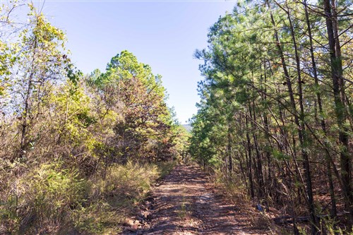 Stone Bridge Reserve Tract 25